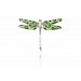Silver dragonfly Green